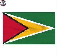 3X5' Guyana Nylon 3x5 flag