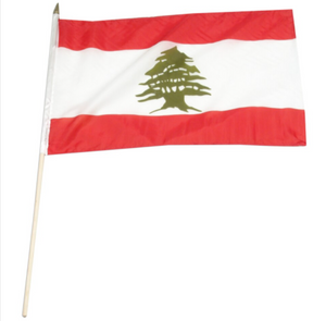 12x18" Lebanon stick flag