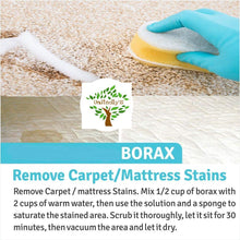Load image into Gallery viewer, Unitedly&#39;s ® Borax Powder