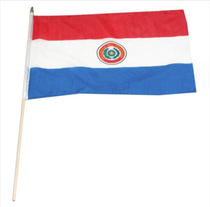 12x18" Paraguay stick flag