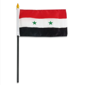 4x6" Syria stixk flag