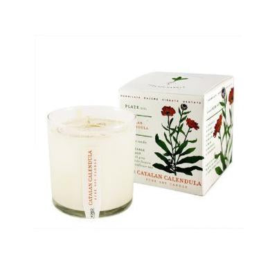 Soy Candle Catalan Calendula