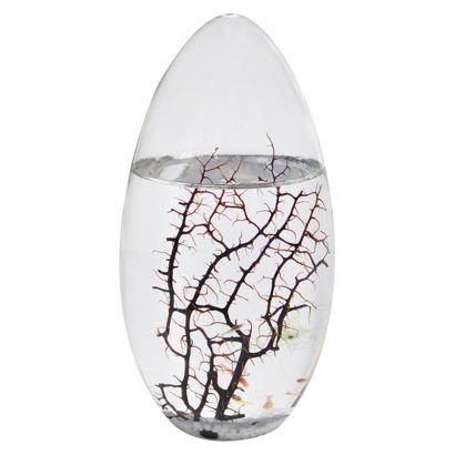 Pod Ecosphere Large