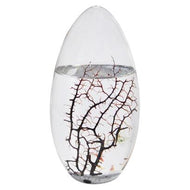 Pod Ecosphere Large